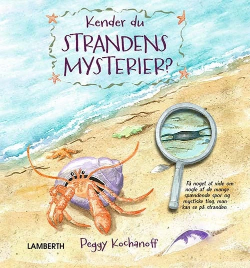 Billede af Kender du strandens mysterier?