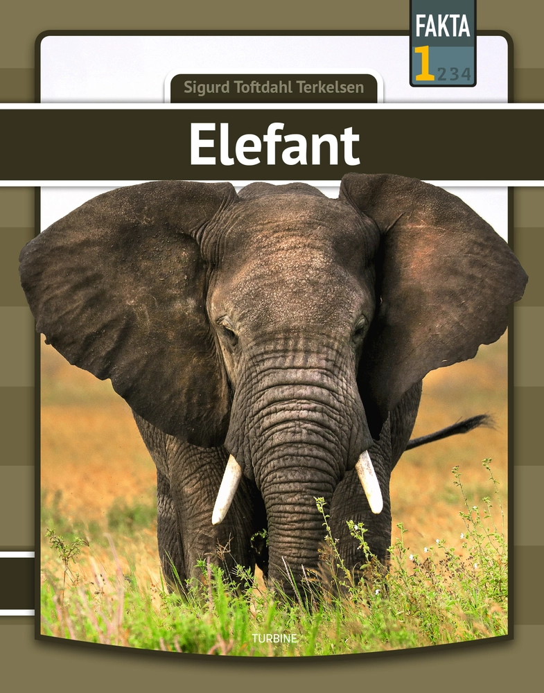 Billede af Elefant