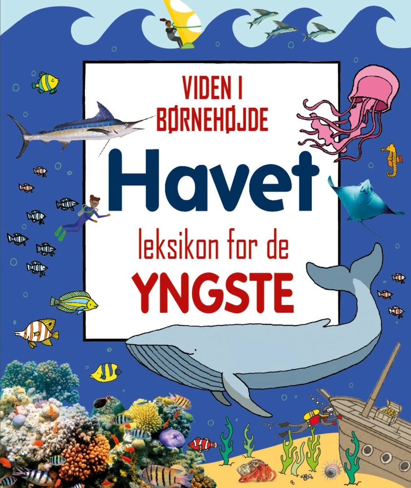 Billede af Havet - Leksikon for de yngste