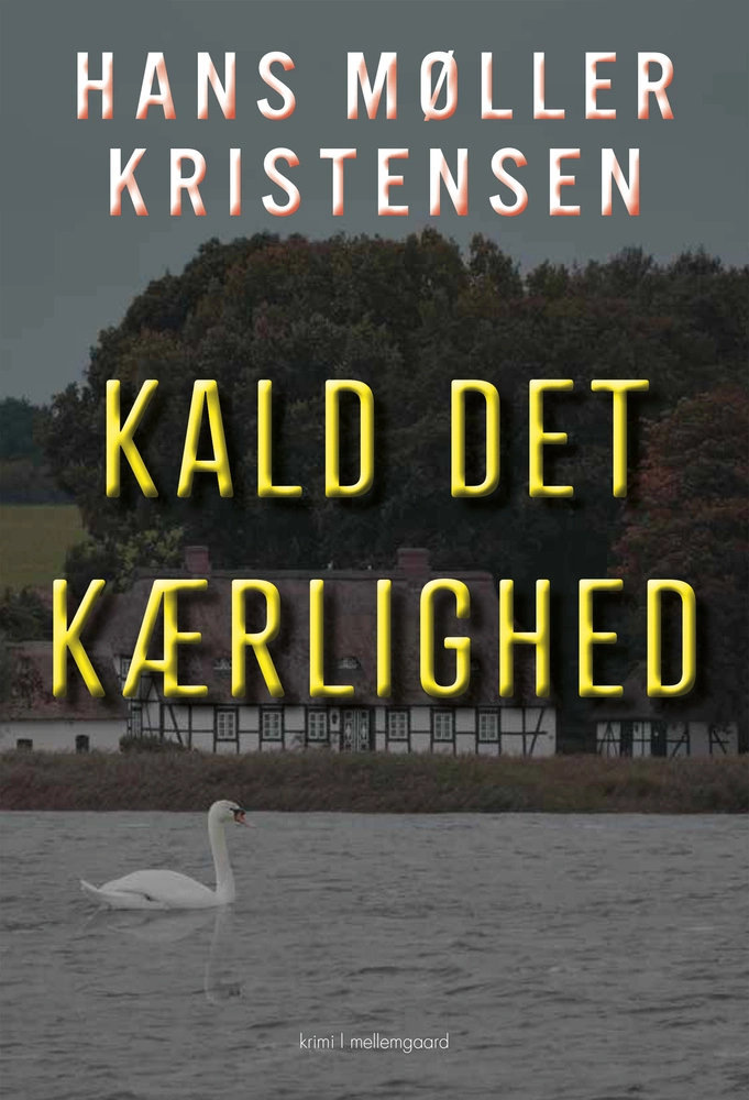 Billede af Kald det kærlighed