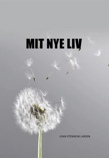 MIT NYE LIV