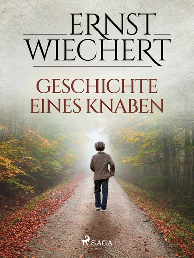 Geschichte eines Knaben