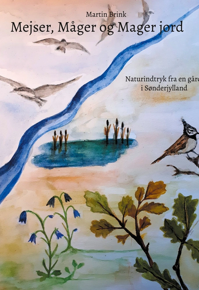 Mejser Måger Og Mager Jord