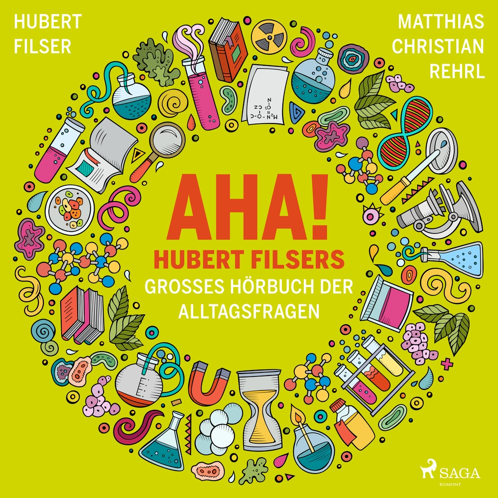 AHA! Hubert Filsers groÃes Hörbuch der Alltagsfragen
