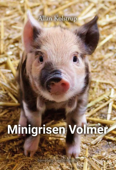 Minigrisen Volmer