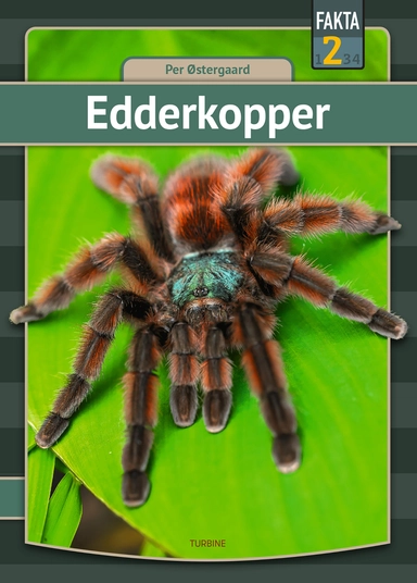 Edderkopper