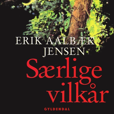 Særlige vilkår