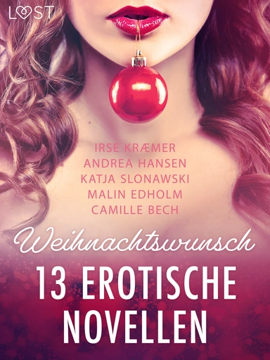 Weihnachtswunsch - 13 erotische Novellen