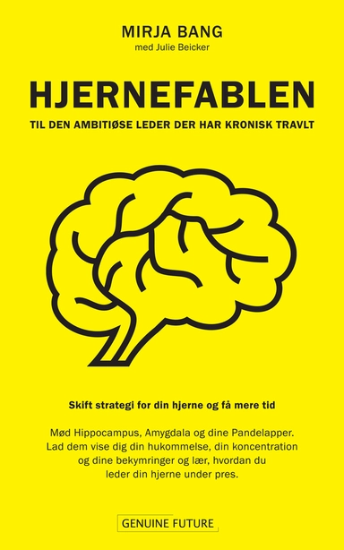 HJERNEFABLEN - Til den ambitiøse leder der har kronisk travlt