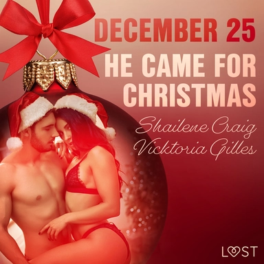 December 25: He Came for Christmas - An Erotic Christmas Calendar