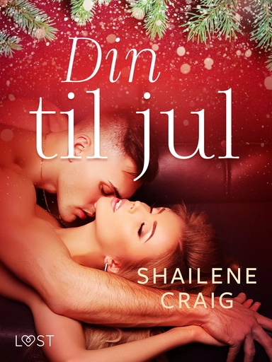 Din til jul – erotisk novelle