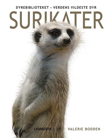 Surikater