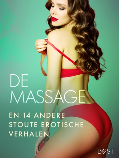 De massage en 14 andere stoute erotische verhalen