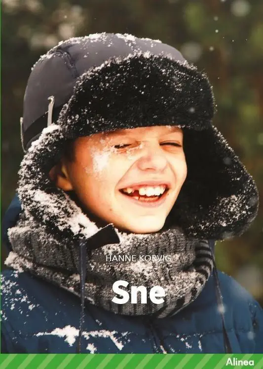 Billede af Sne, Grøn Fagklub