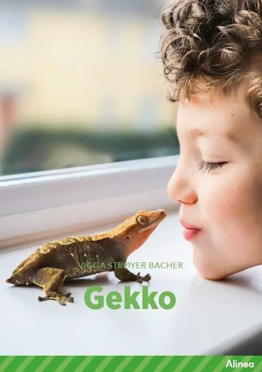 Billede af Gekko, Grøn Fagklub