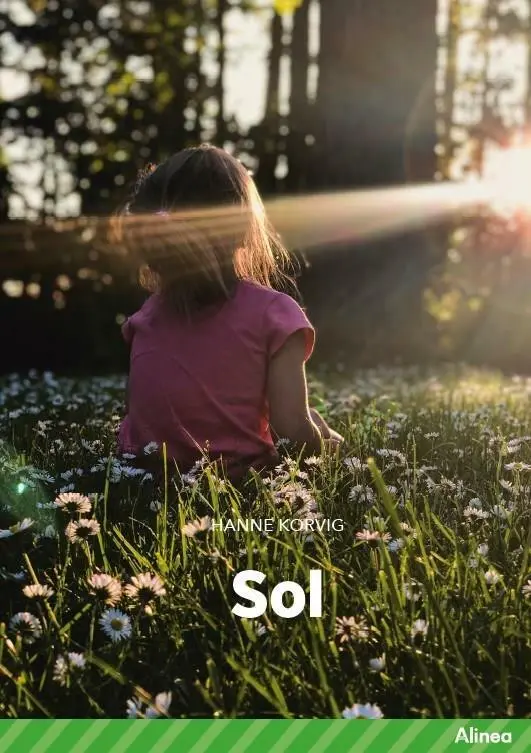 Billede af Sol, Grøn Fagklub