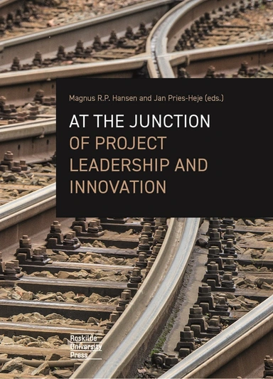 At the junction of project leadership and innovation