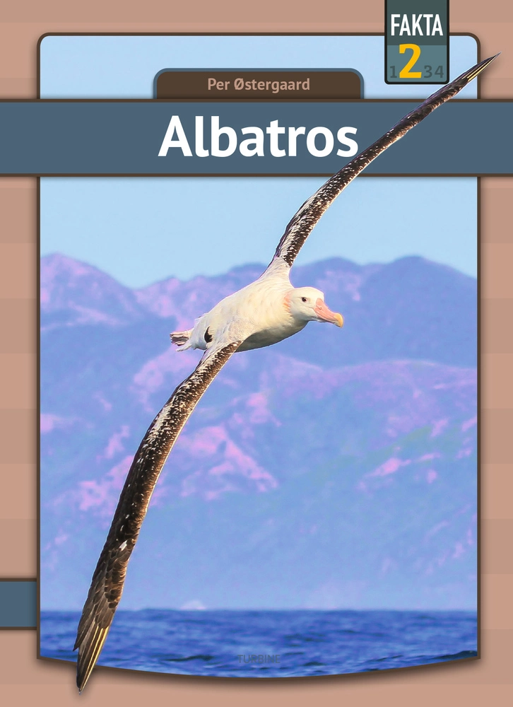 Billede af Albatros