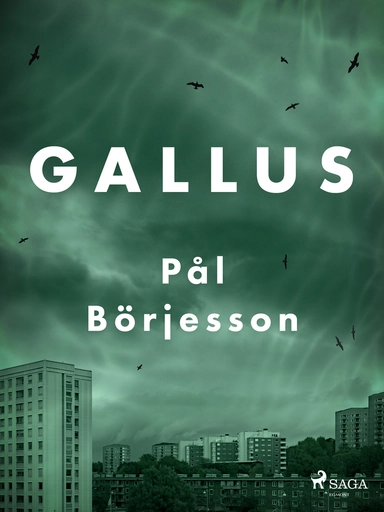 Gallus