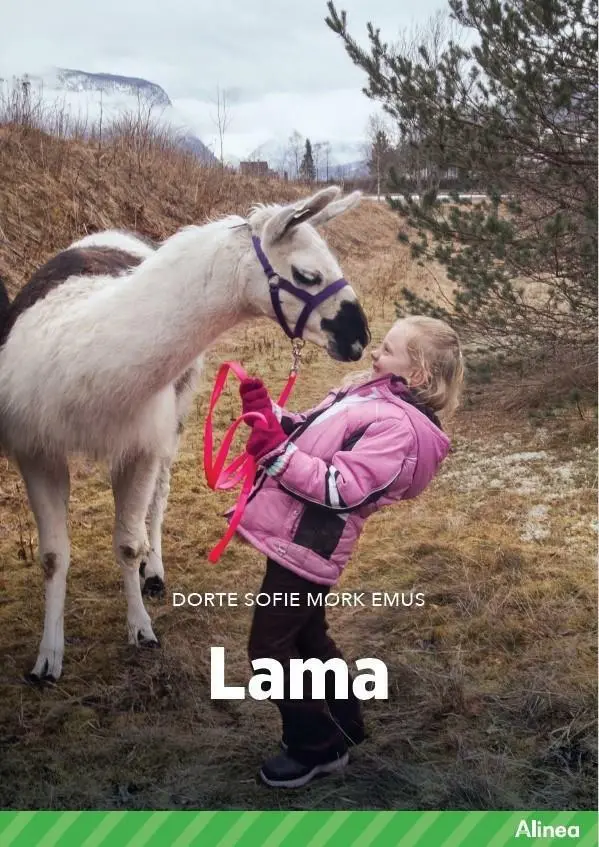 Billede af Lama, Grøn Fagklub