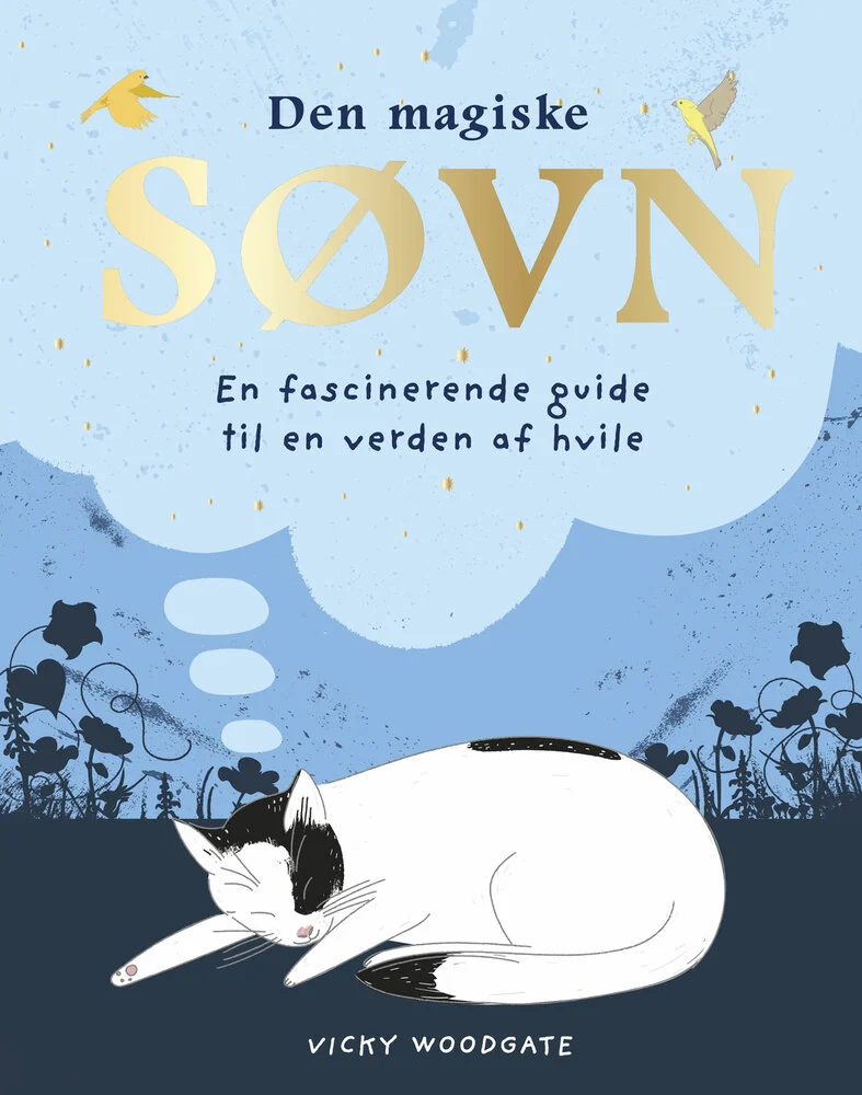 Billede af Den magiske søvn