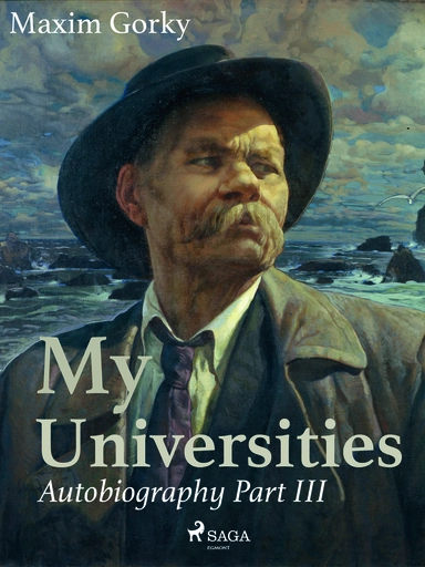 My Universities, Autobiography Part III
