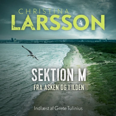 Sektion M IV