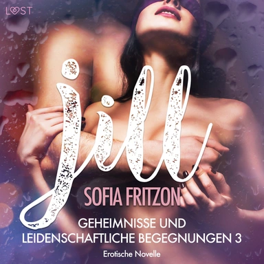 Jill – Geheimnisse und leidenschaftliche Begegnungen 3 - Erotische Novelle