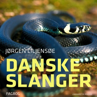 Danske slanger