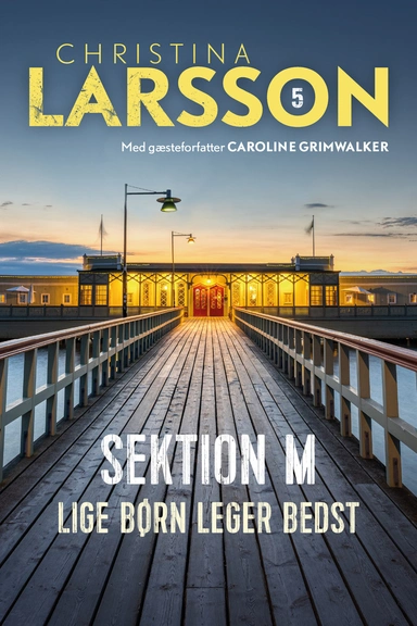 Sektion M V