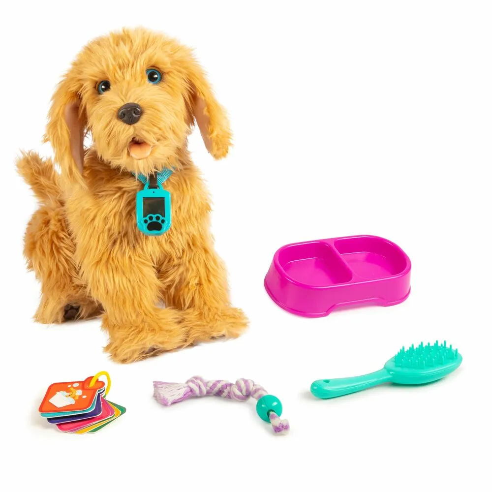 Moji the Lovable Labradoodle