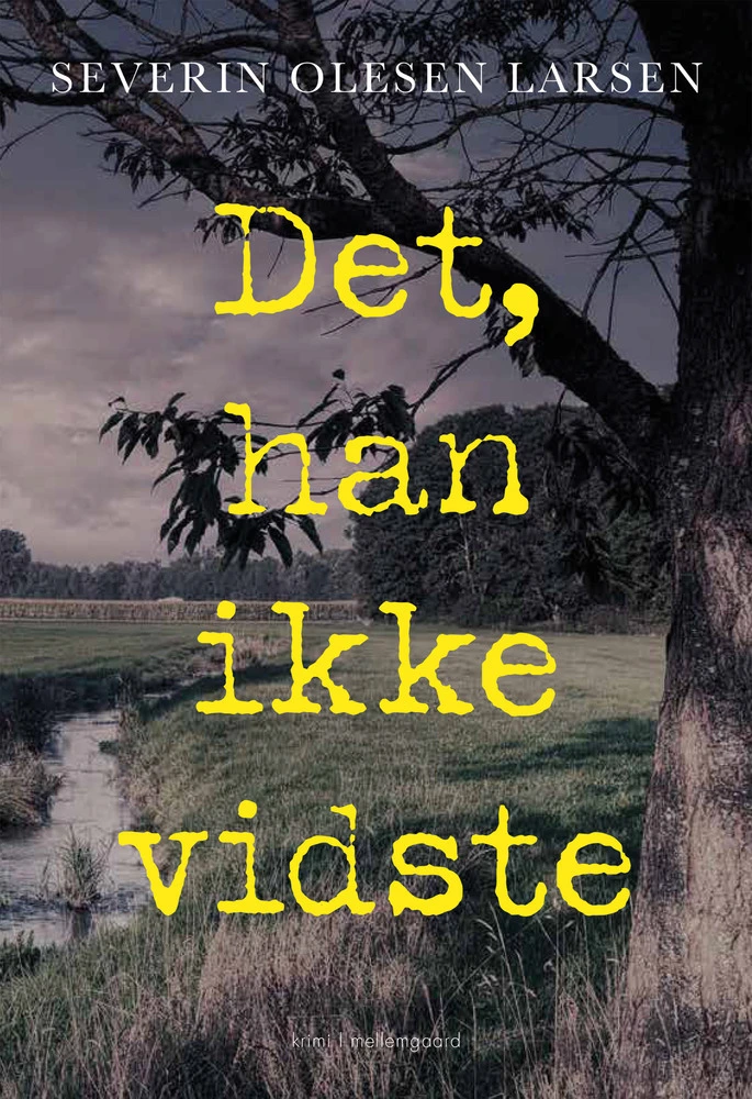 Billede af Det, han ikke vidste