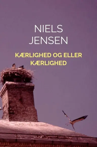 Kærlighed og eller kærlighed