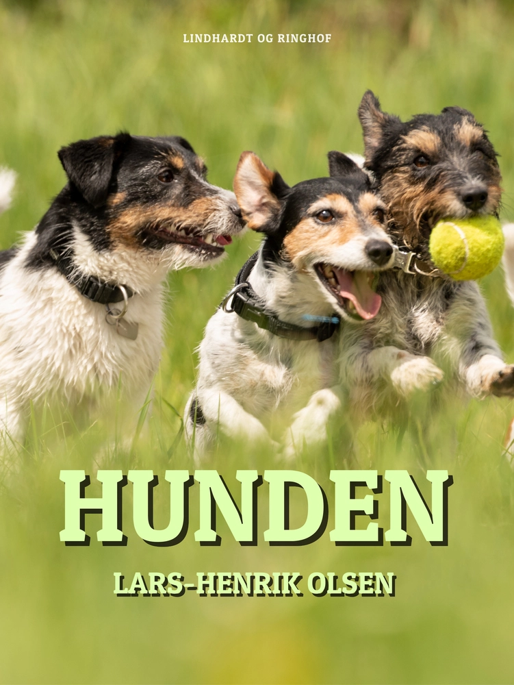 Billede af Hunden
