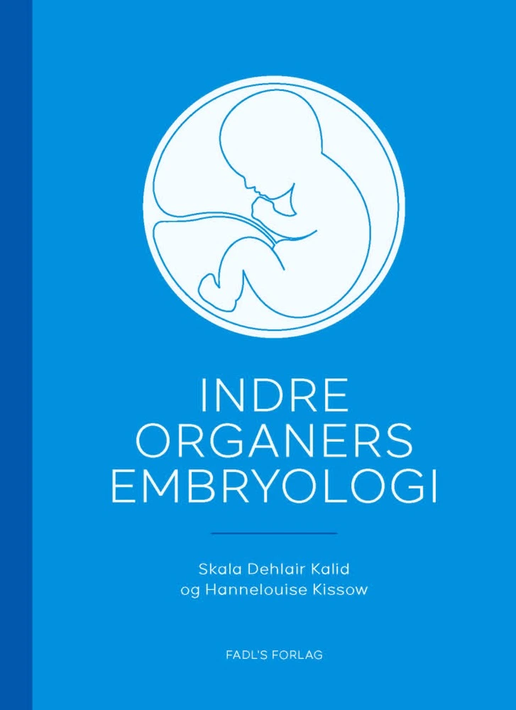 Billede af Indre organers embryologi