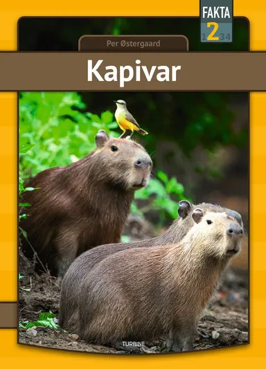 Kapivar