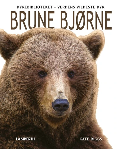 Brune bjørne