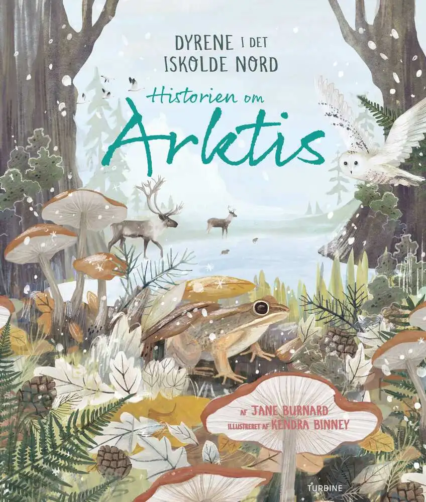Billede af Historien om Arktis