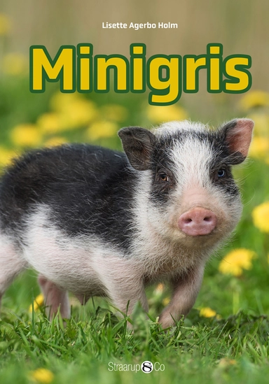 Minigris 