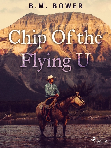 Chip Of the Flying U