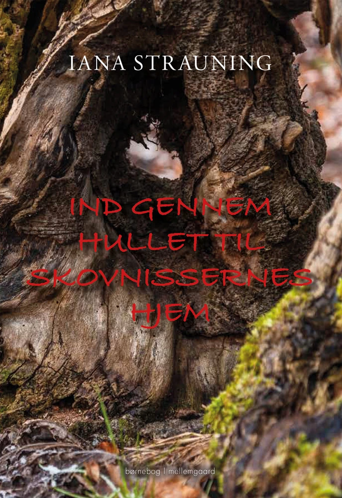 Billede af Ind gennem hullet til skovnissernes hjem