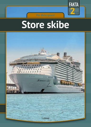 Store skibe