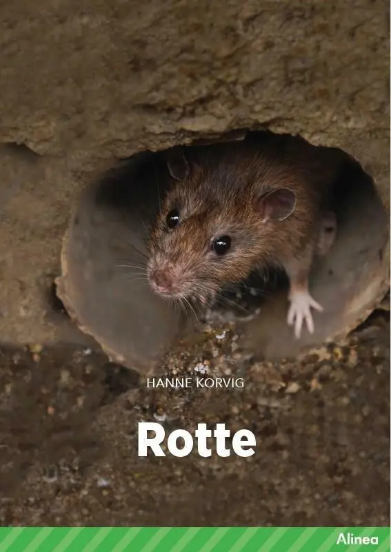 Billede af Rotte, Grøn Fagklub