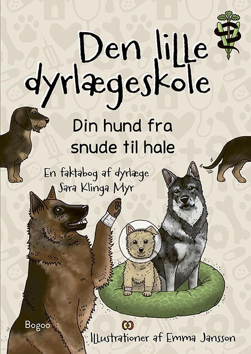 Din hund fra snude til hale