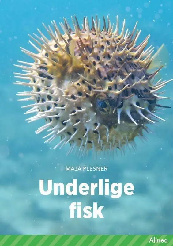 Billede af Underlige fisk, Grøn Fagklub