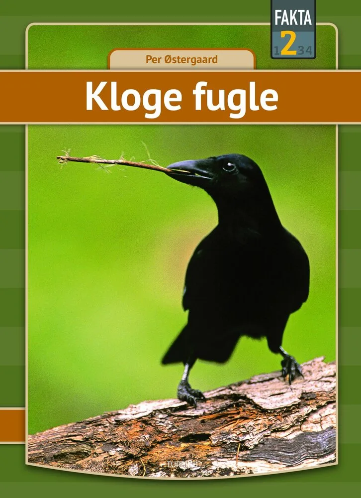 Billede af Kloge fugle
