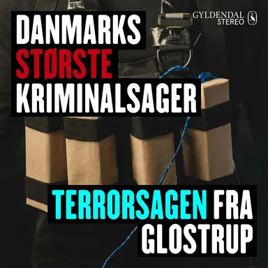 Danmarks største kriminalsager