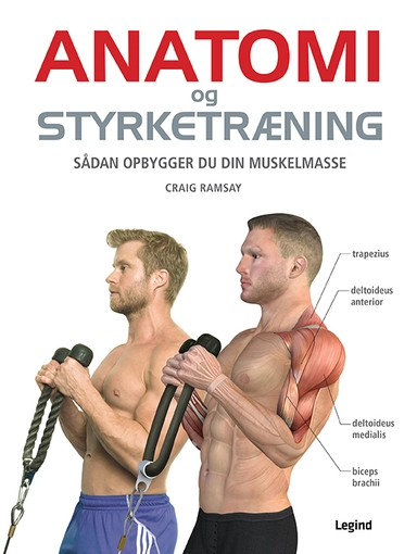 Anatomi og styrketræning