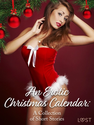An Erotic Christmas Calendar