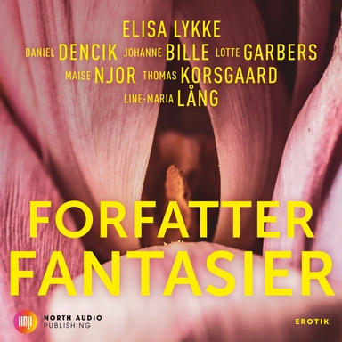 Forfatterfantasier